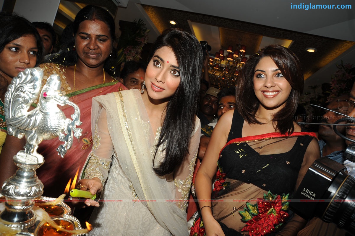 Shriya Saran Actress hd photo