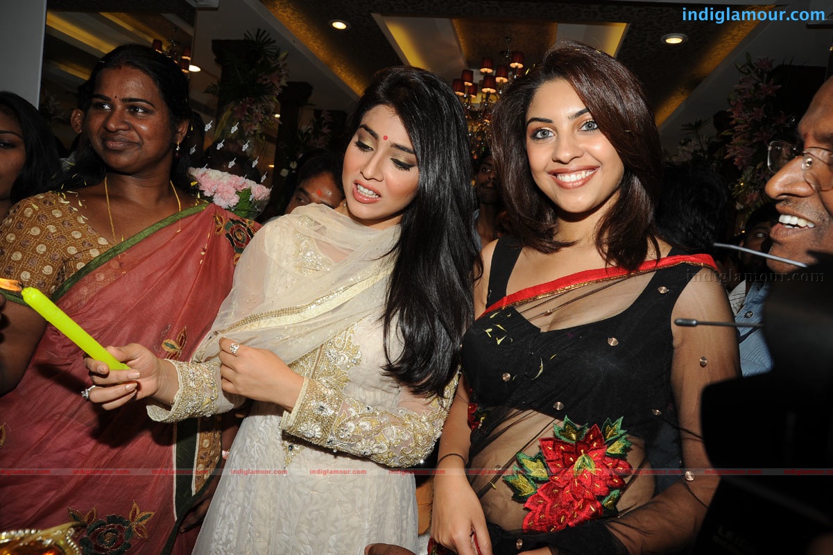 Shriya Saran Actress hd photo