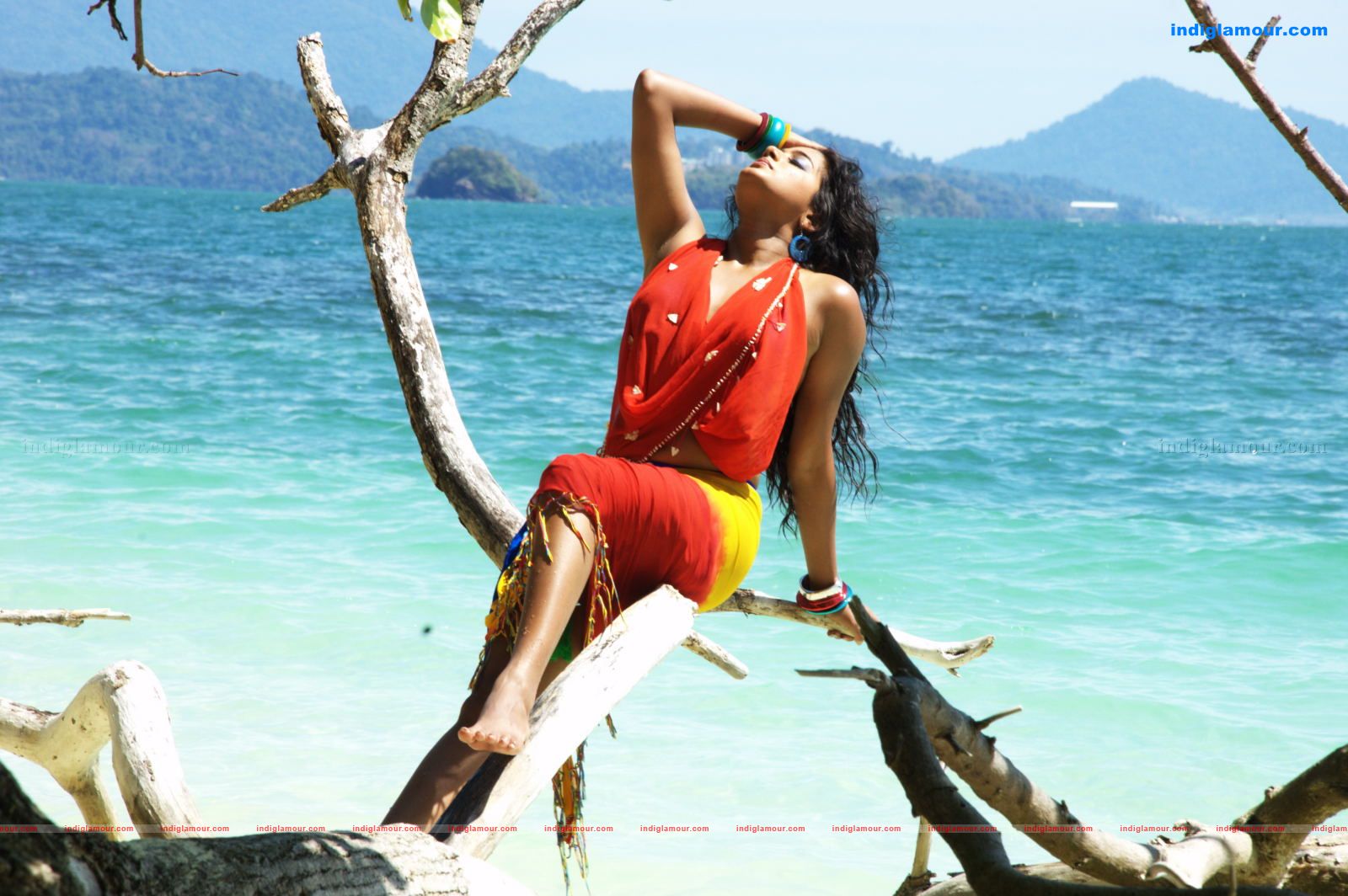 Priyamani Actress hd photo