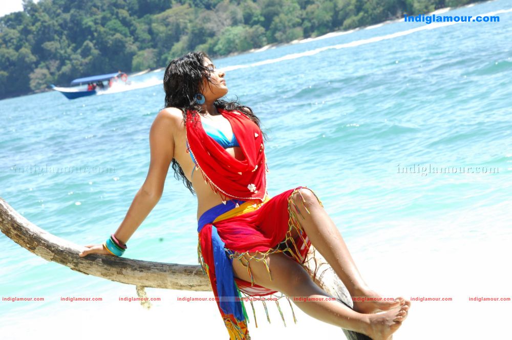 Priyamani Actress hd photo