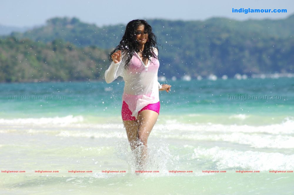 Priyamani Actress hd photo