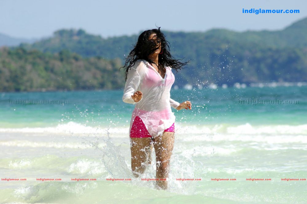 Priyamani Actress hd photo