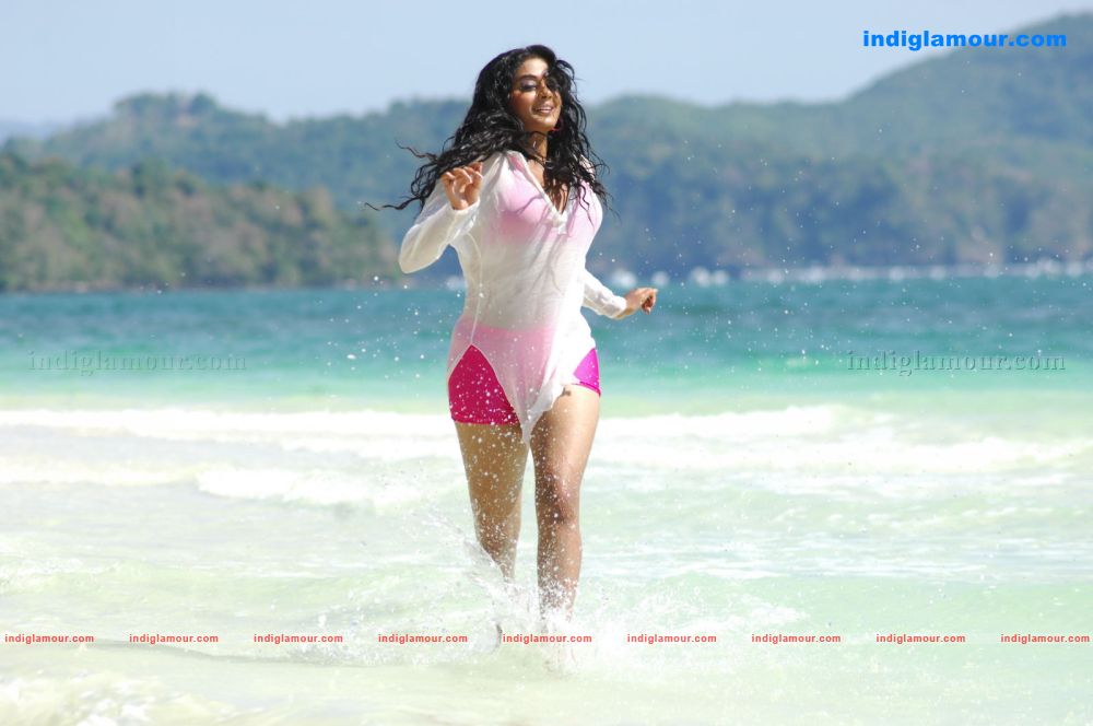 Priyamani Actress hd photo