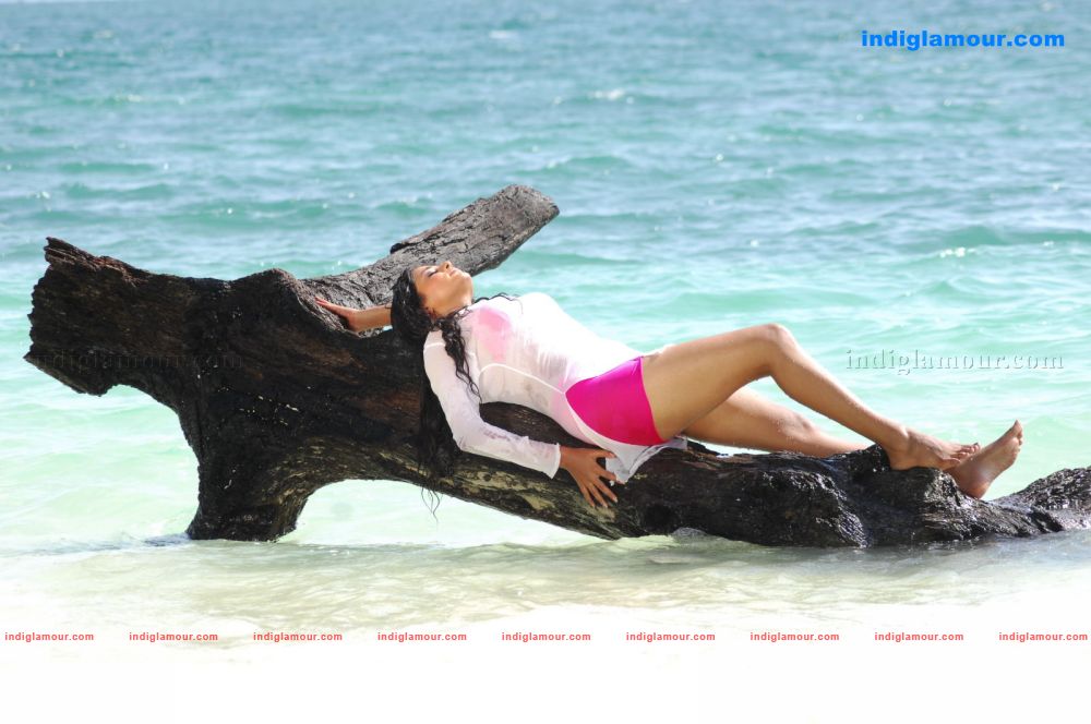Priyamani Actress hd photo