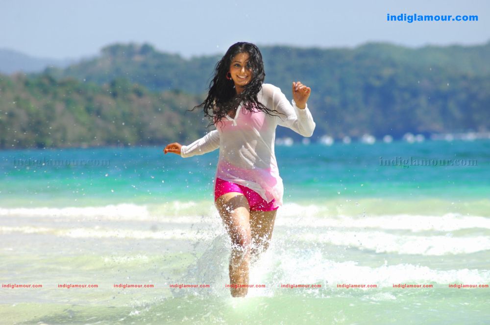 Priyamani Actress hd photo