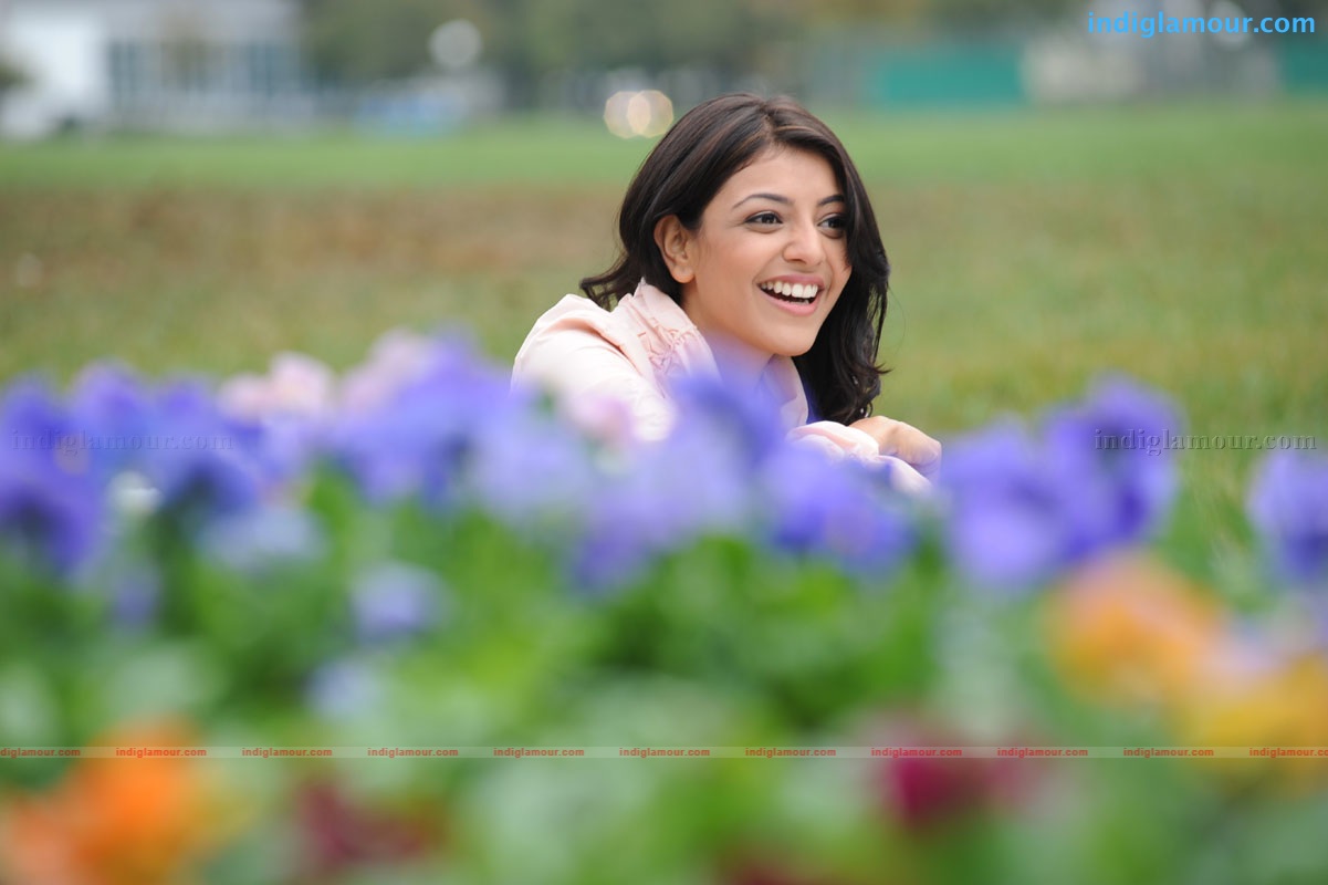 Kajal Aggarwal Actress hd photo