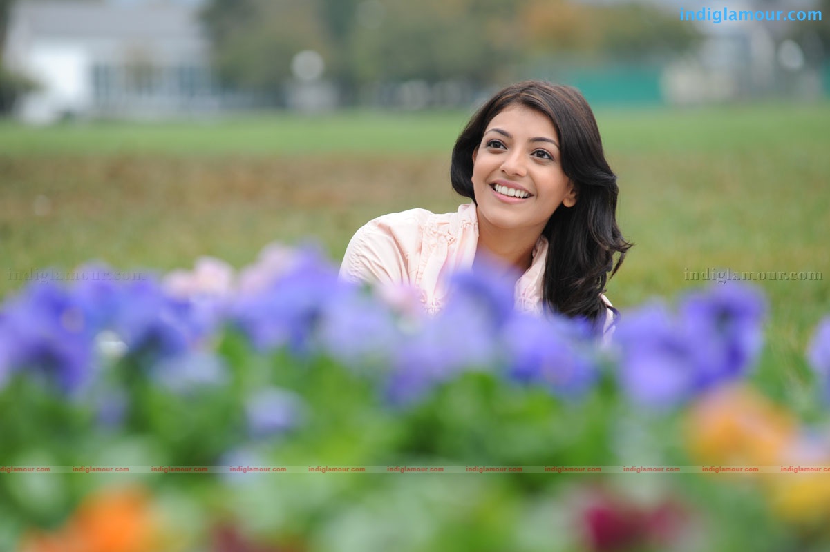 Kajal Aggarwal Actress hd photo