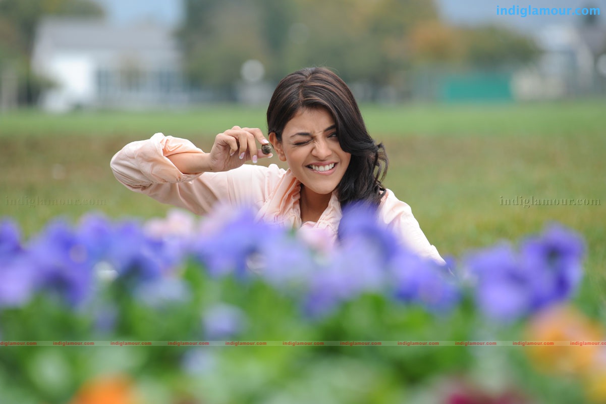 Kajal Aggarwal Actress hd photo