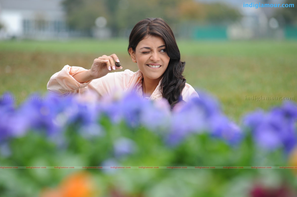 Kajal Aggarwal Actress hd photo