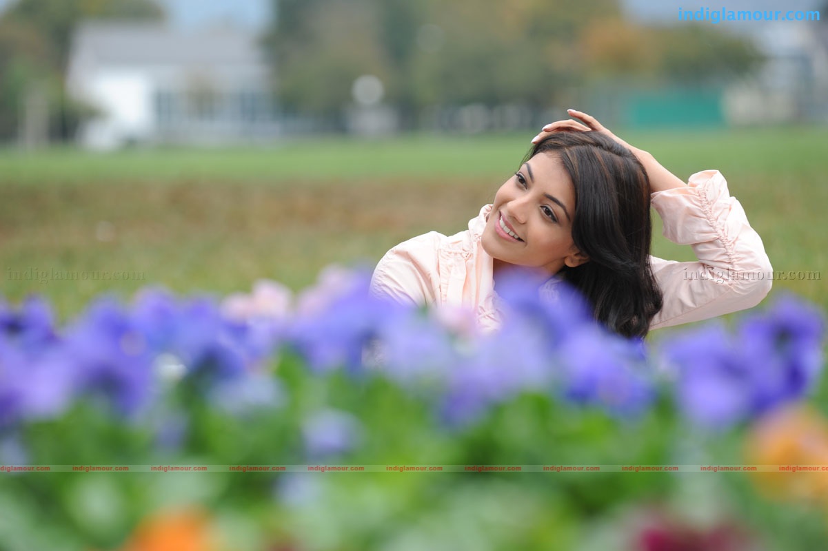 Kajal Aggarwal Actress hd photo