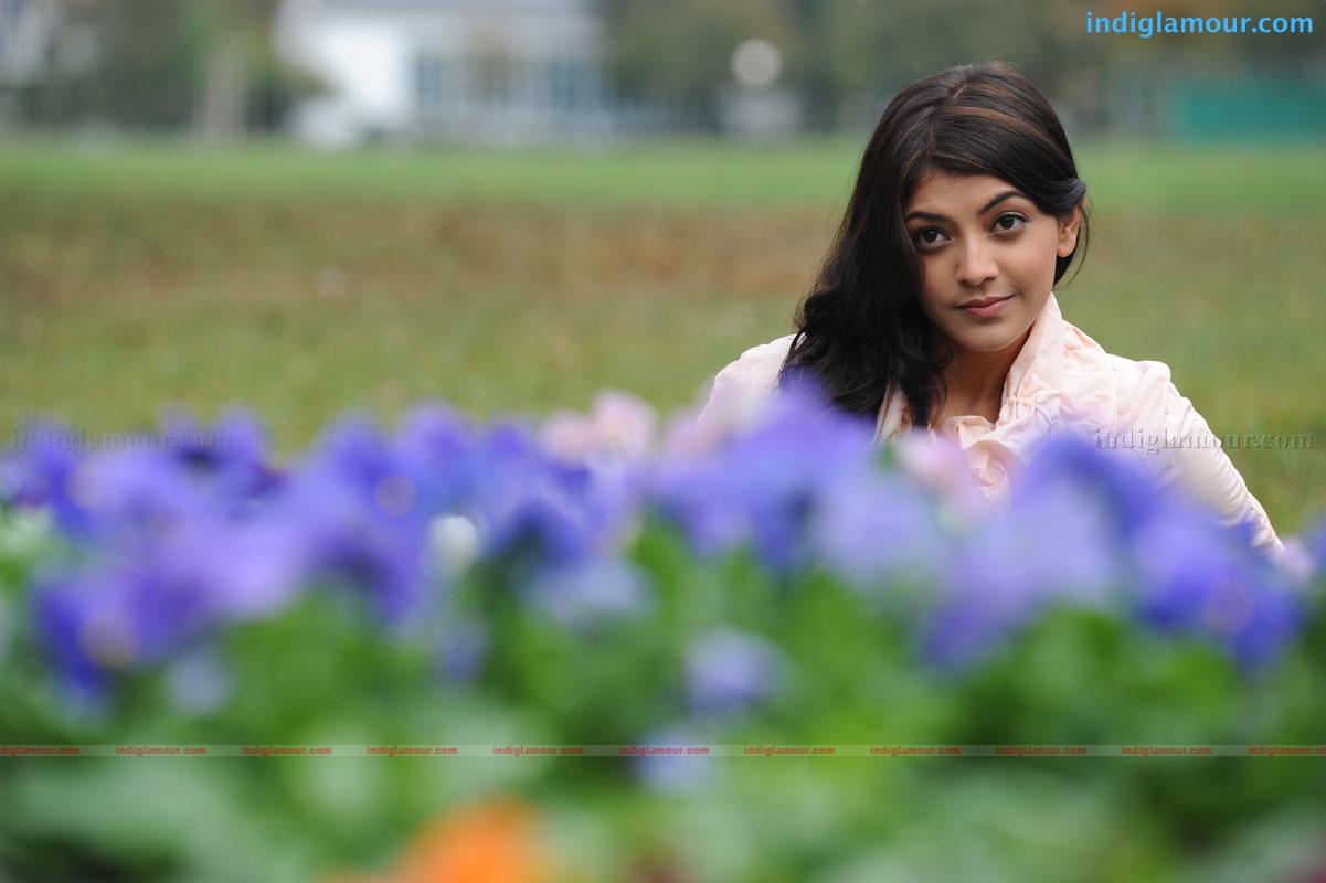 Kajal Aggarwal Actress hd photo