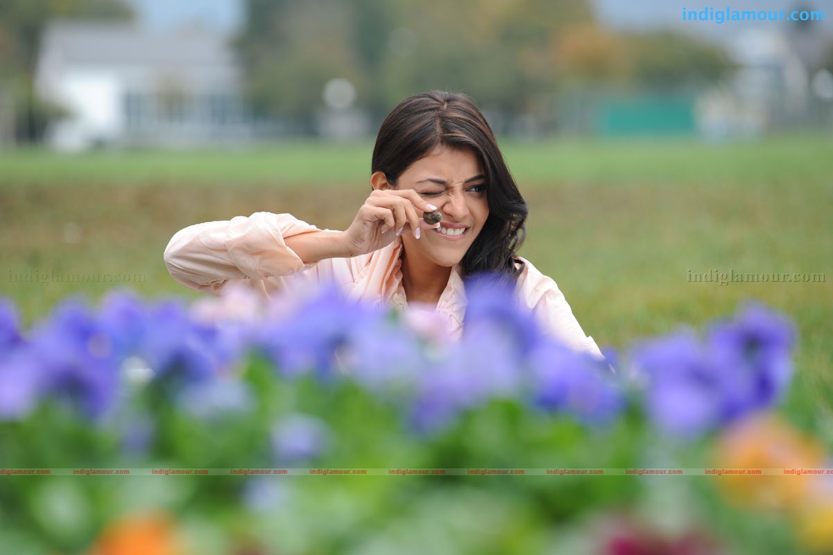 Kajal Aggarwal Actress hd photo