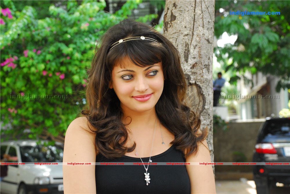 Sneha Ullal Actress hd photo