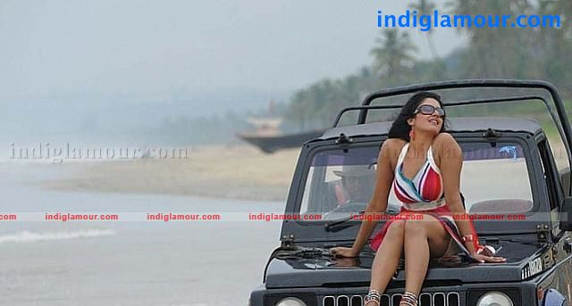 Vimala Raman Actress hd photo