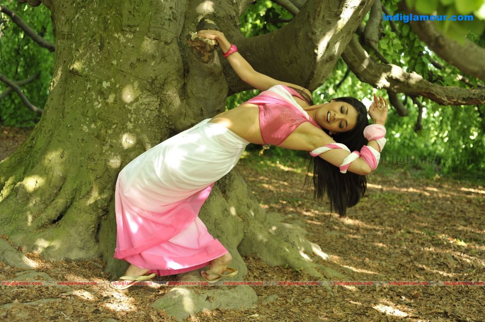 Kajal Aggarwal Actress hd photo