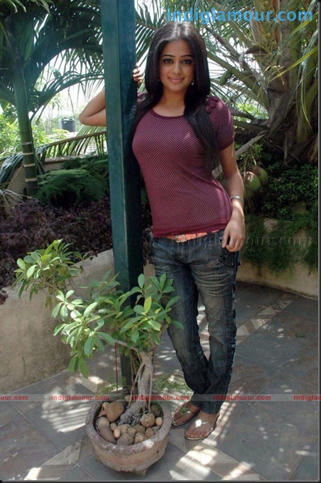Priyamani Actress hd photo