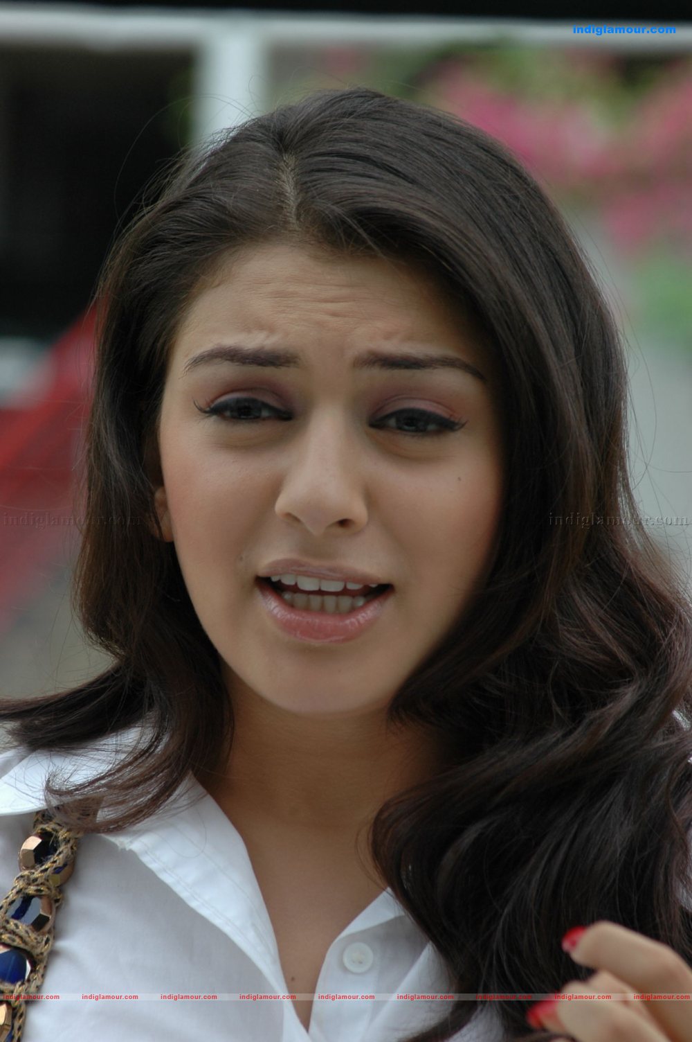 Hansika Motwani Actress hd photo