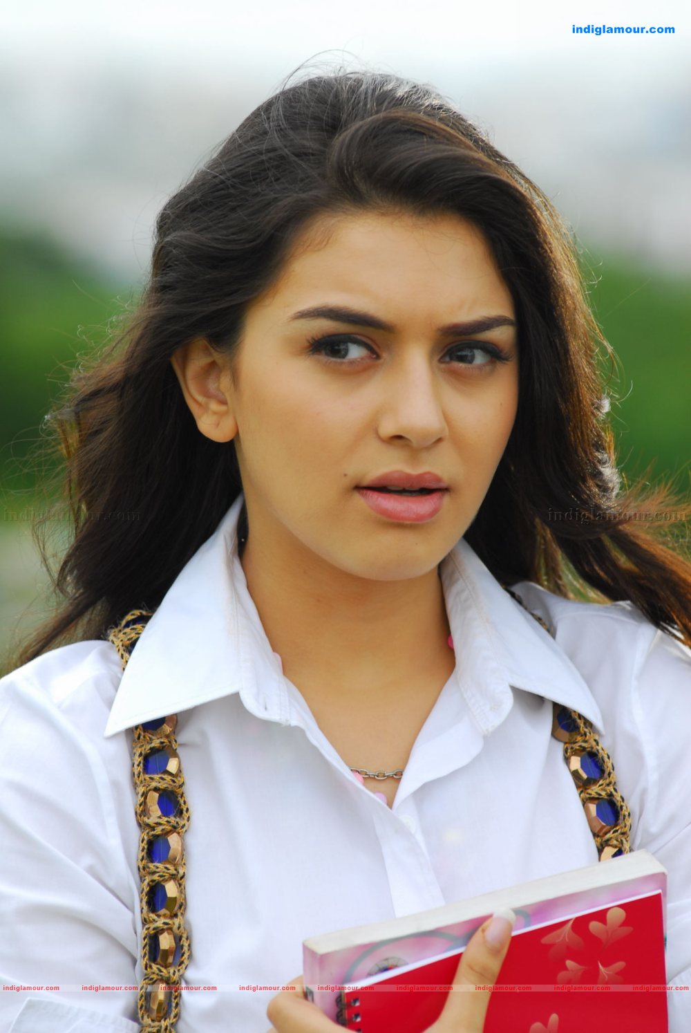 Hansika Motwani Actress hd photo