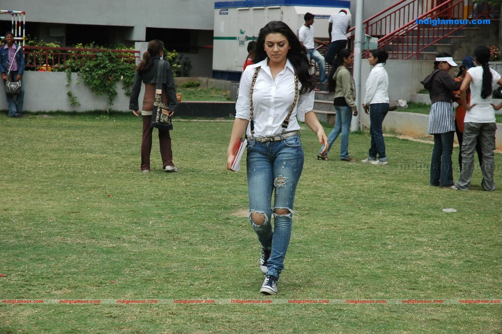 Hansika Motwani Actress hd photo