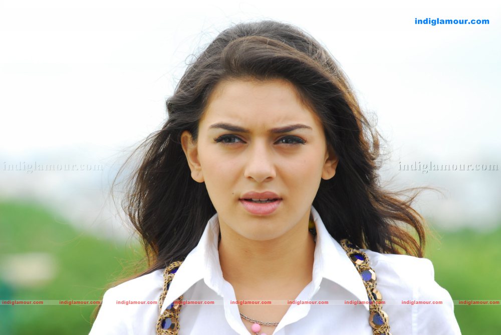 Hansika Motwani Actress hd photo