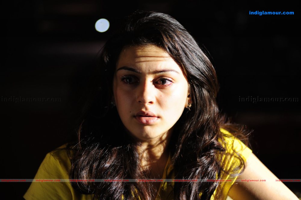 Hansika Motwani Actress hd photo
