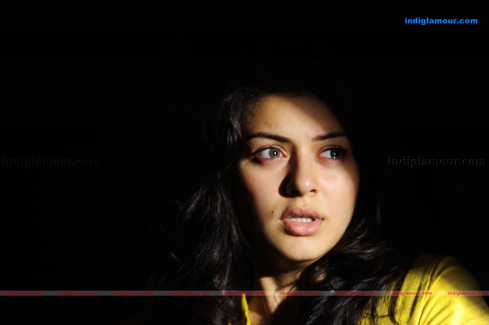 Hansika Motwani Actress hd photo