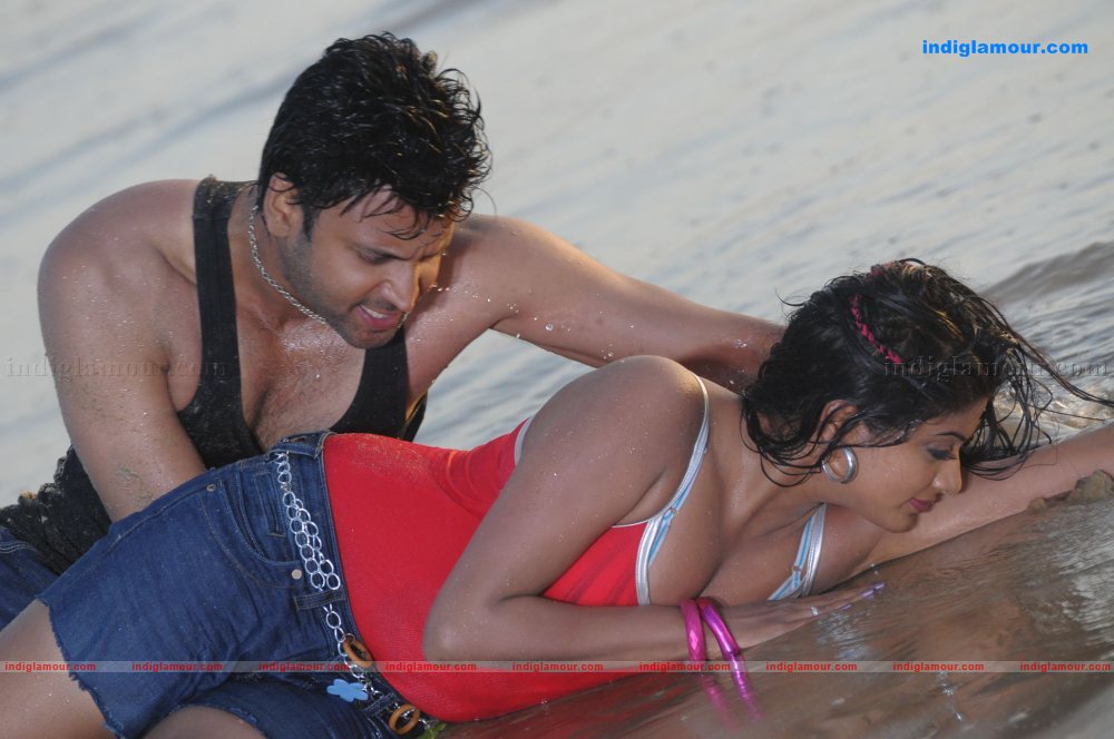 Priyamani Actress hd photo