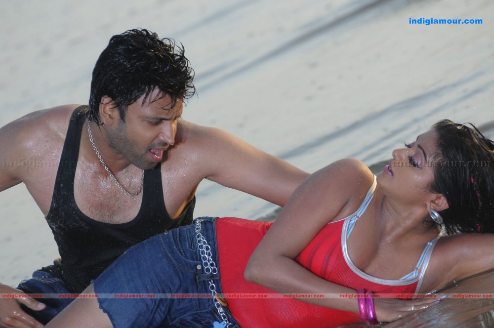 Priyamani Actress hd photo