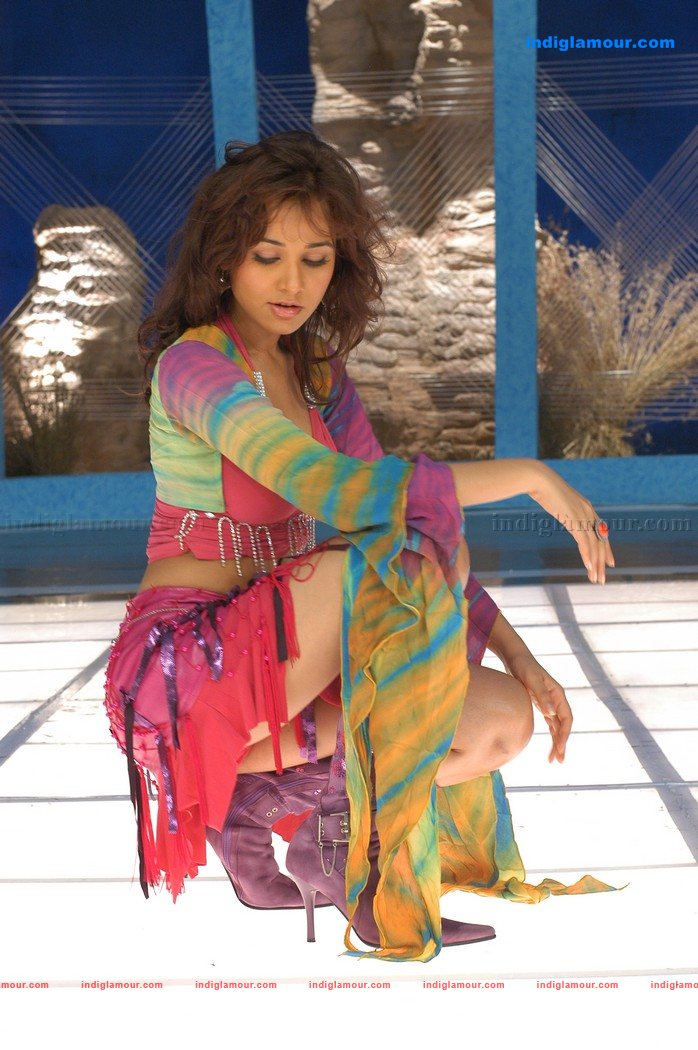 Nisha Kothari Actress hd photo