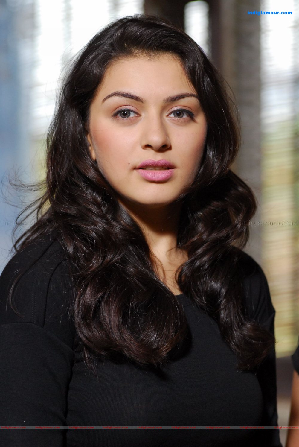 Hansika Motwani Actress hd photo