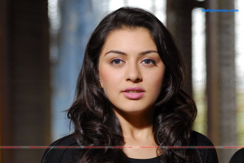 Hansika Motwani Actress hd photo