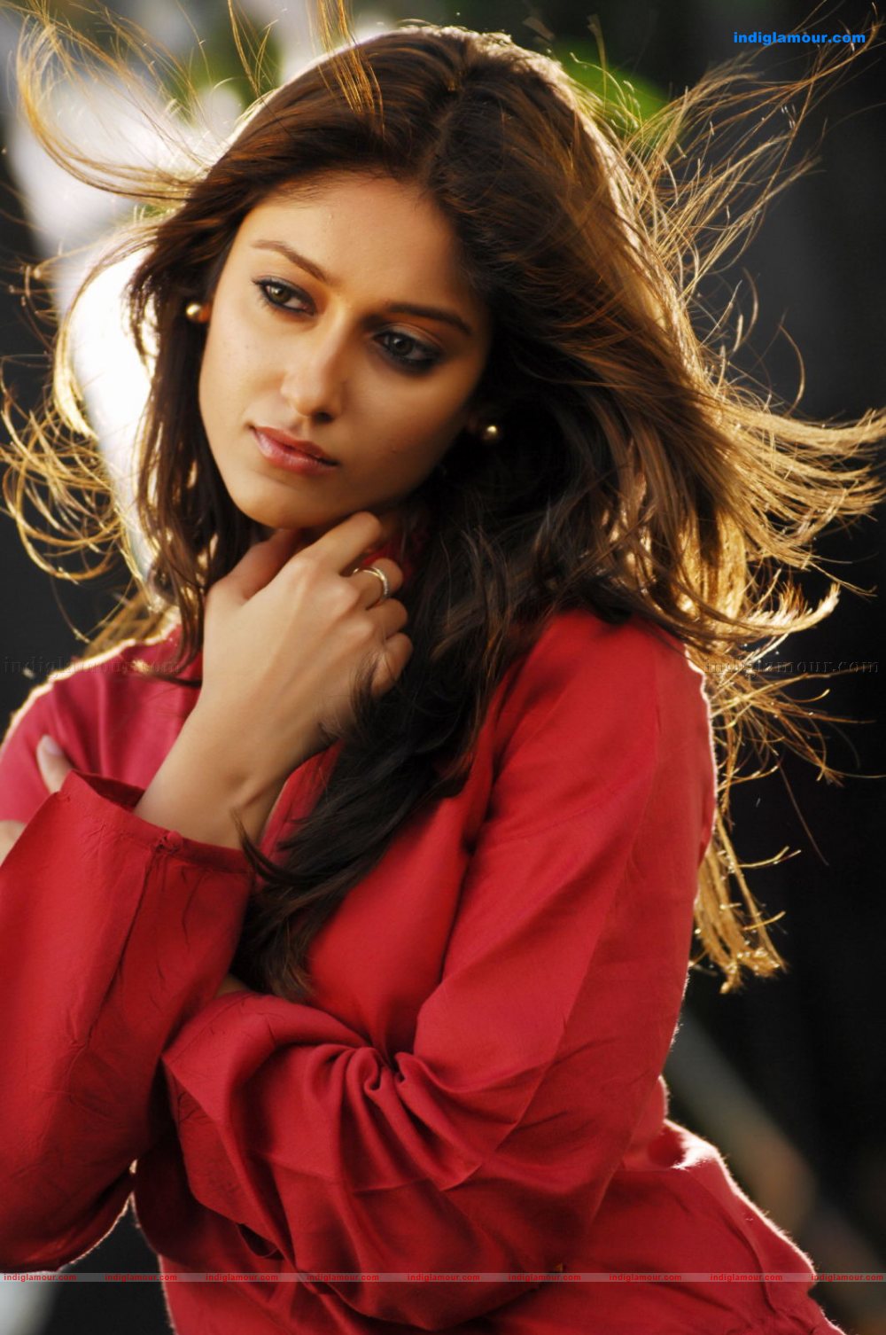 Ileana Actress hd photo