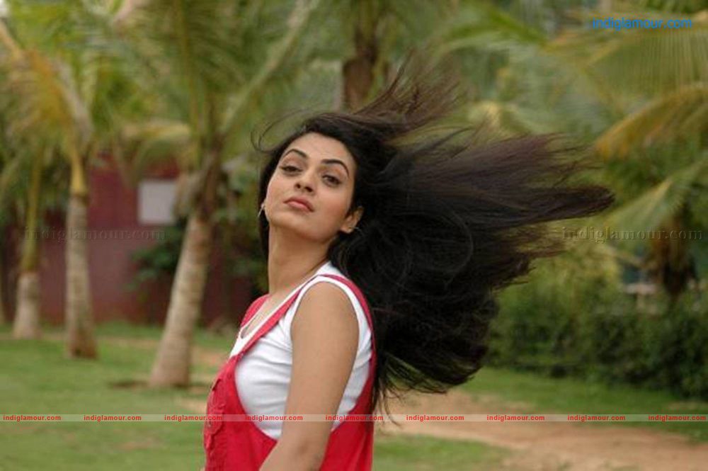 Niharika Singh Actress hd photo