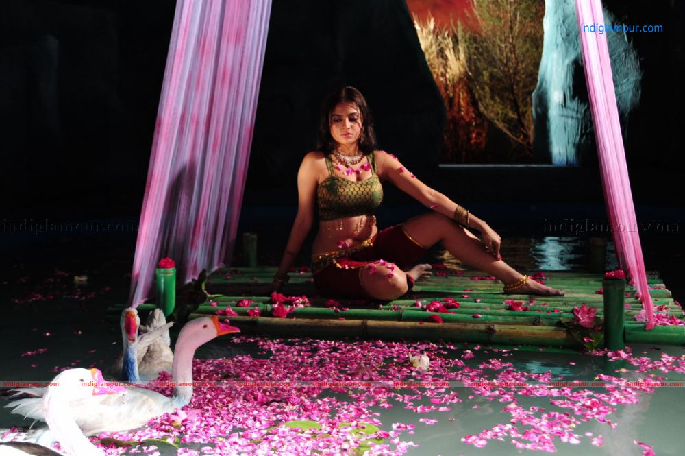 Sheena Actress hd photo