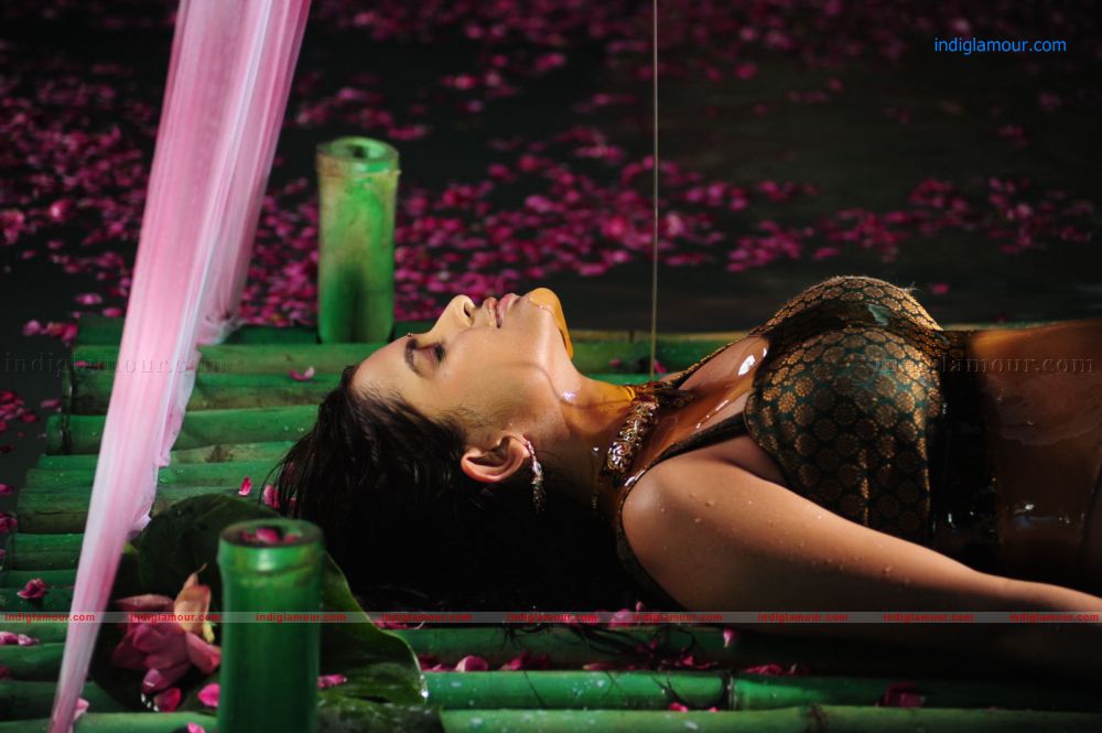 Sheena Actress hd photo