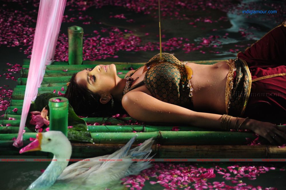 Sheena Actress hd photo