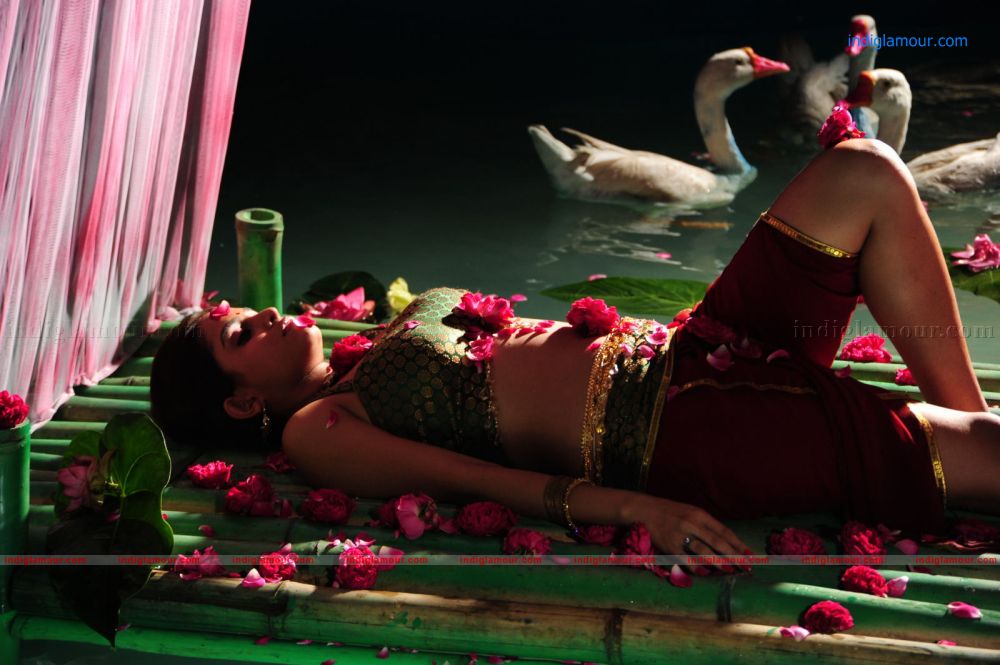 Sheena Actress hd photo