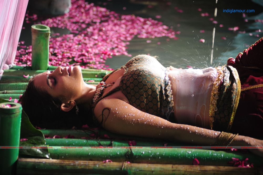 Sheena Actress hd photo