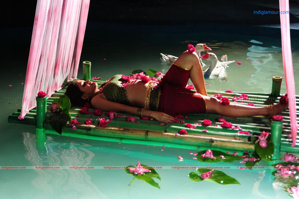 Sheena Actress hd photo
