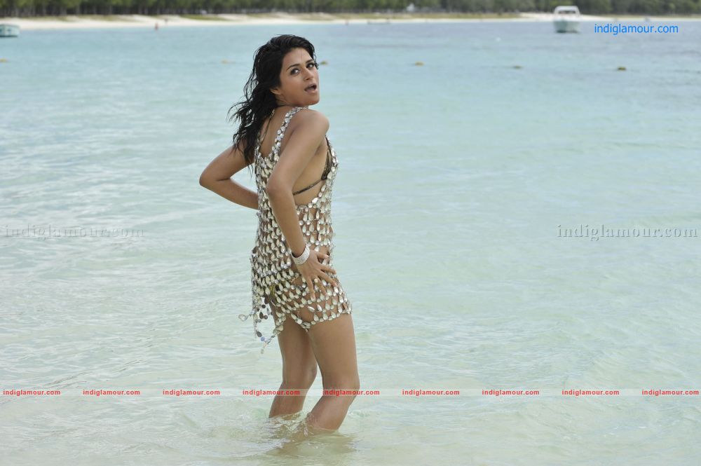 Shraddha Das Actress hd photo