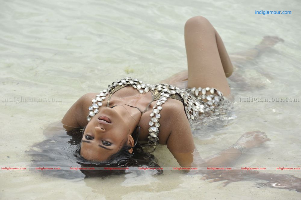 Shraddha Das Actress hd photo