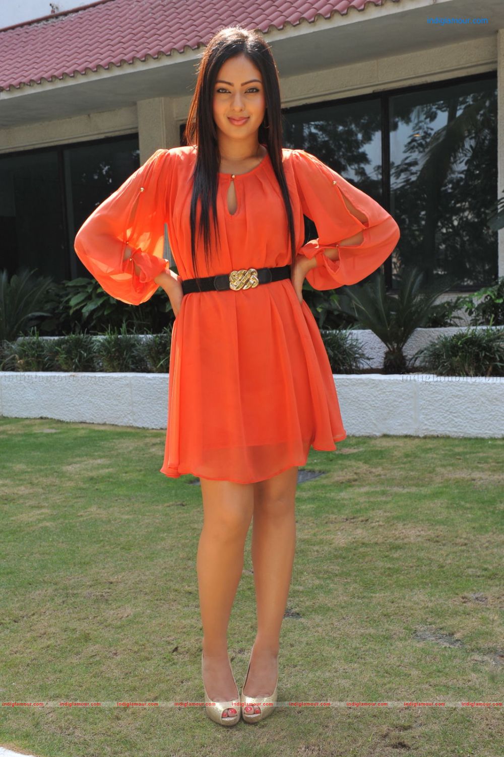 Nikesha Patel Actress hd photo