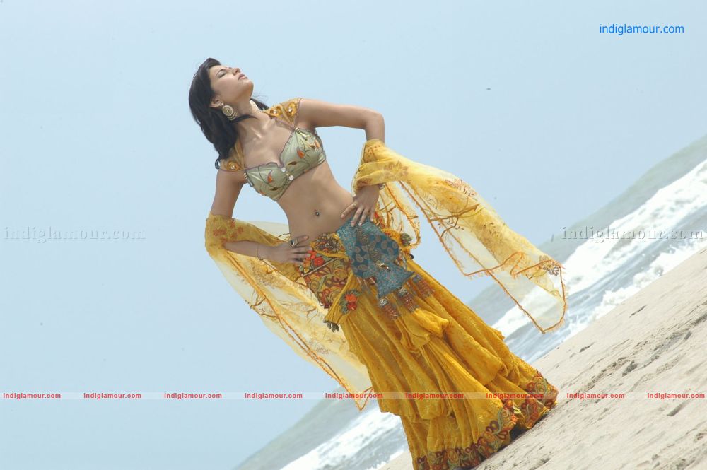 Shruti Hassan Actress hd photo