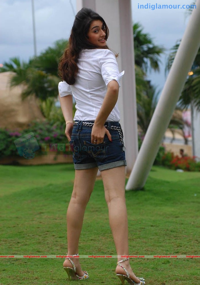 Hansika Motwani Actress hd photo