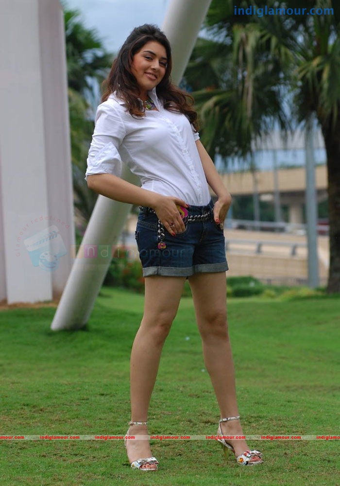 Hansika Motwani Actress hd photo