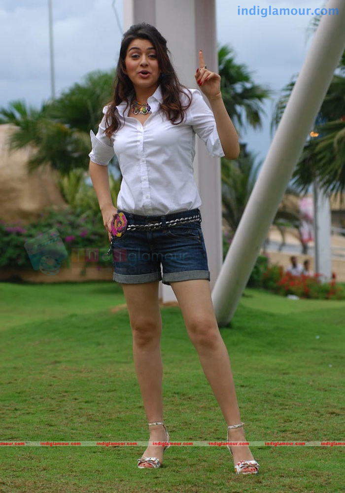 Hansika Motwani Actress hd photo