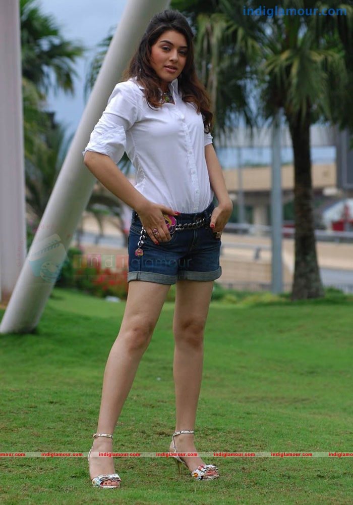 Hansika Motwani Actress hd photo
