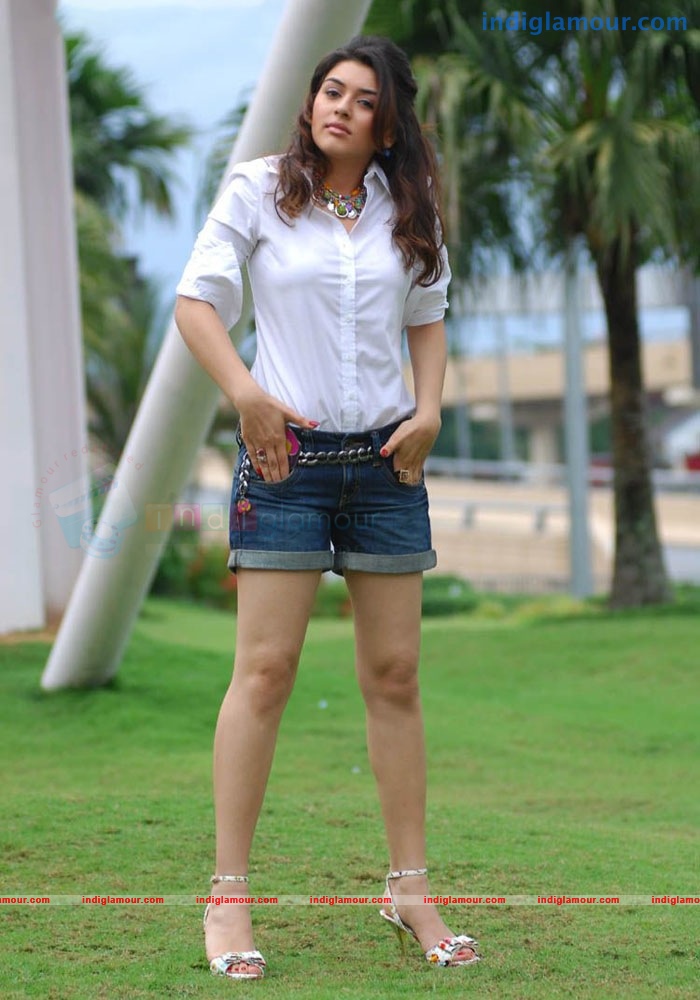 Hansika Motwani Actress hd photo