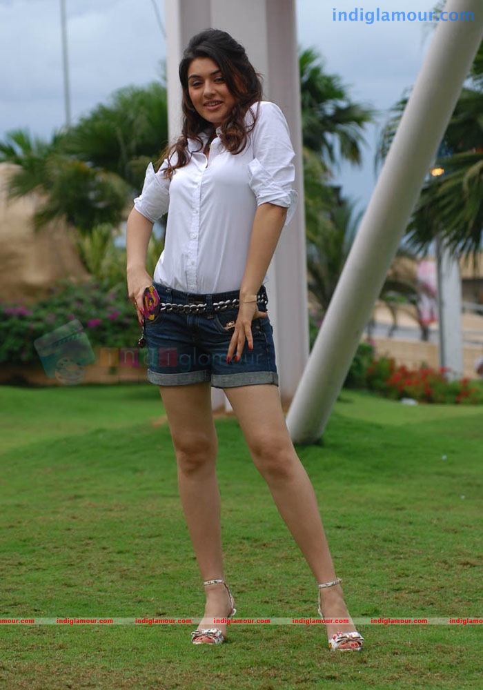 Hansika Motwani Actress hd photo