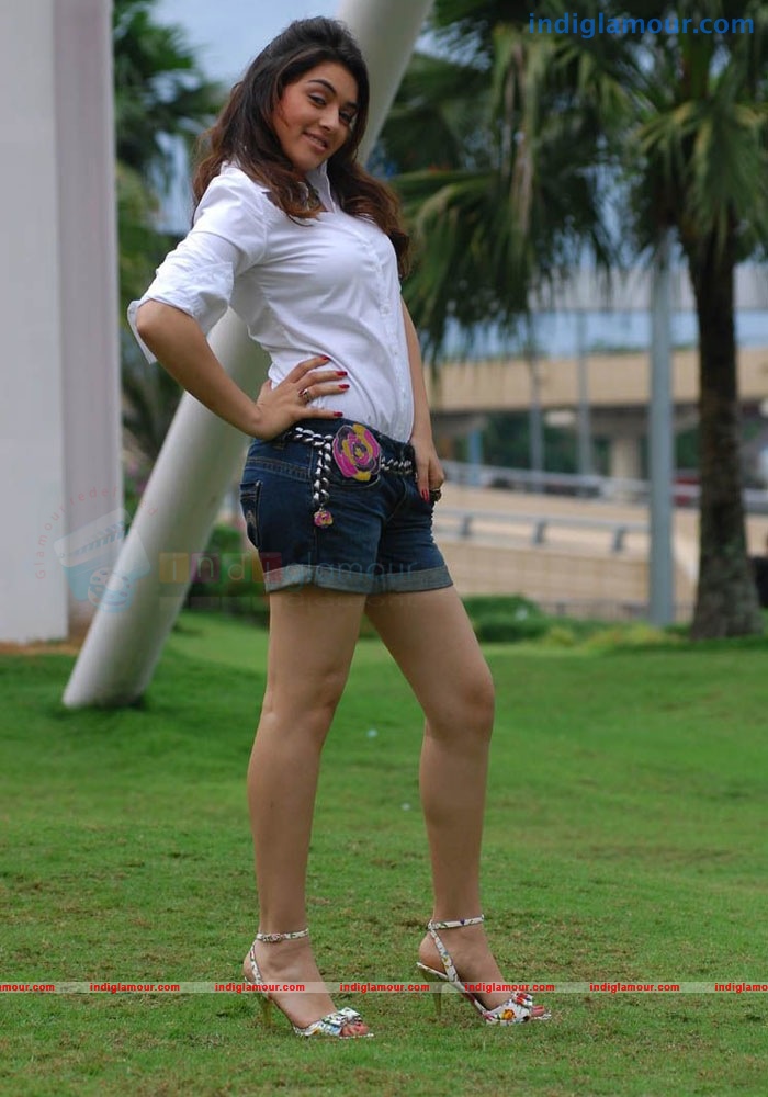 Hansika Motwani Actress hd photo